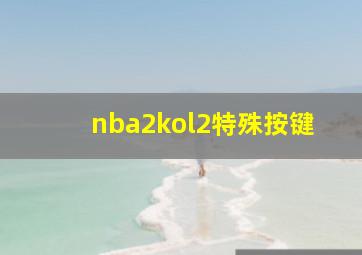 nba2kol2特殊按键