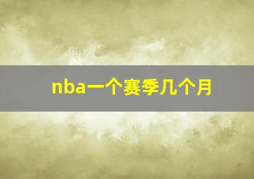 nba一个赛季几个月