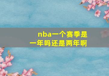 nba一个赛季是一年吗还是两年啊