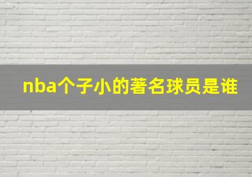 nba个子小的著名球员是谁