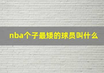 nba个子最矮的球员叫什么