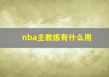 nba主教练有什么用