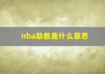 nba助教是什么意思