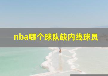 nba哪个球队缺内线球员