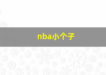 nba小个子