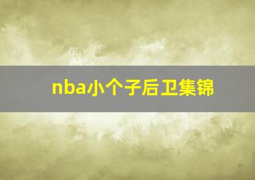 nba小个子后卫集锦