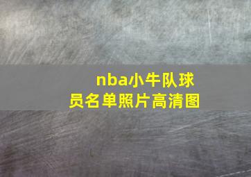 nba小牛队球员名单照片高清图