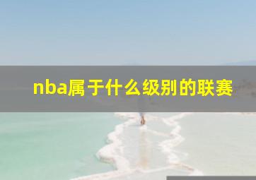 nba属于什么级别的联赛