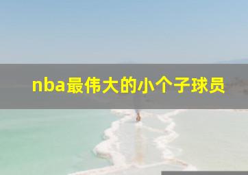 nba最伟大的小个子球员