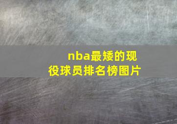 nba最矮的现役球员排名榜图片