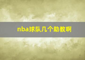 nba球队几个助教啊