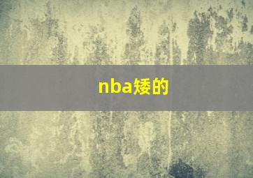 nba矮的