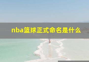 nba篮球正式命名是什么