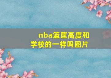 nba篮筐高度和学校的一样吗图片