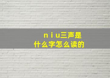 nⅰu三声是什么字怎么读的