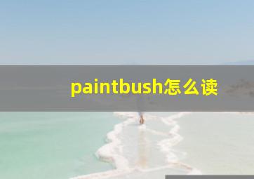 paintbush怎么读