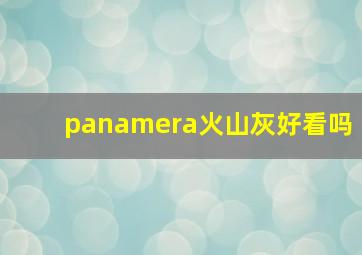 panamera火山灰好看吗