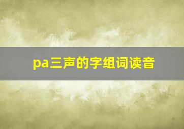 pa三声的字组词读音