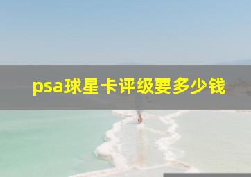 psa球星卡评级要多少钱