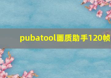 pubatool画质助手120帧