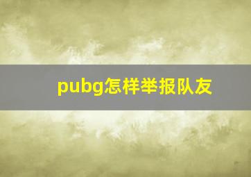 pubg怎样举报队友