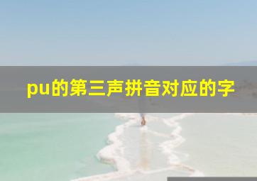 pu的第三声拼音对应的字