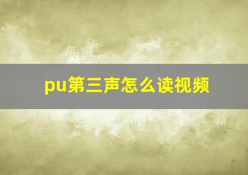 pu第三声怎么读视频