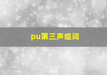 pu第三声组词