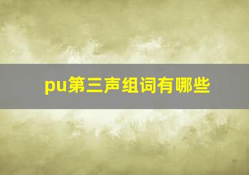 pu第三声组词有哪些