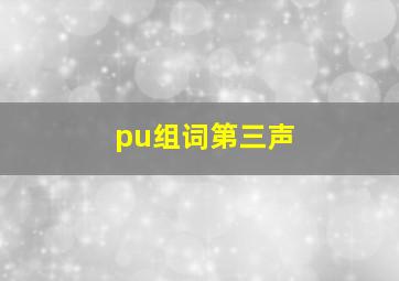 pu组词第三声