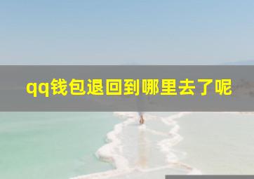 qq钱包退回到哪里去了呢