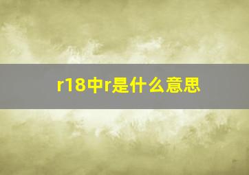 r18中r是什么意思