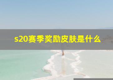 s20赛季奖励皮肤是什么