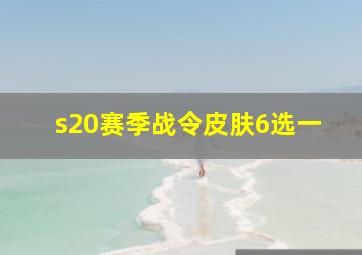 s20赛季战令皮肤6选一