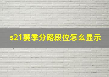 s21赛季分路段位怎么显示