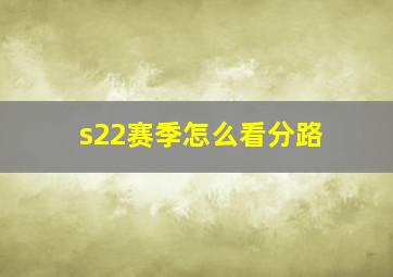 s22赛季怎么看分路