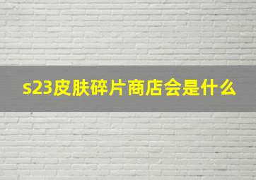 s23皮肤碎片商店会是什么