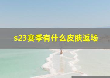 s23赛季有什么皮肤返场