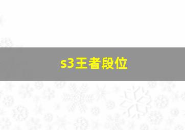 s3王者段位