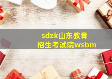 sdzk山东教育招生考试院wsbm