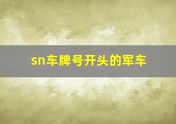 sn车牌号开头的军车