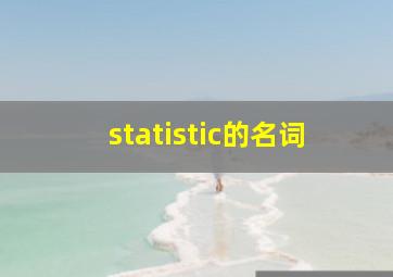 statistic的名词