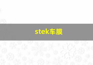 stek车膜