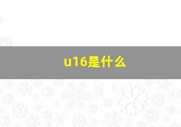 u16是什么