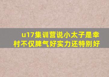 u17集训营说小太子是幸村不仅脾气好实力还特别好