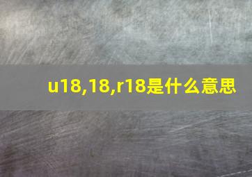 u18,18,r18是什么意思