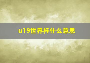 u19世界杯什么意思