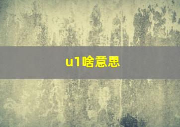 u1啥意思