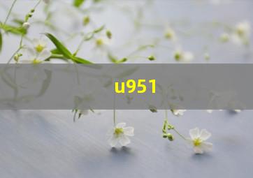 u951