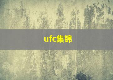 ufc集锦